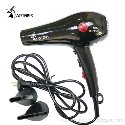 Professional Ionic Hair Dryer #8300